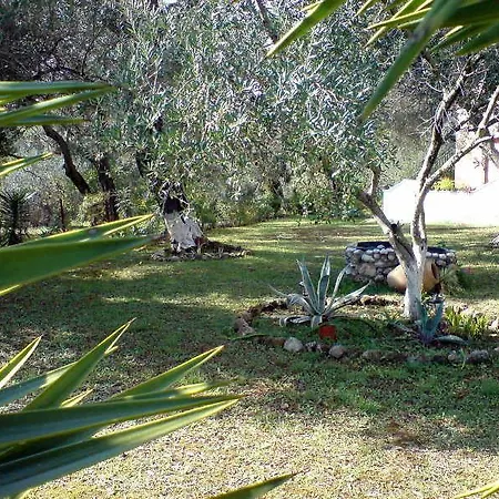 Reggis * Dassia (Corfu)